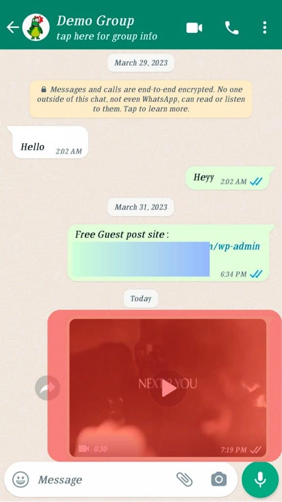 Video Formats Supported On Whatsapp