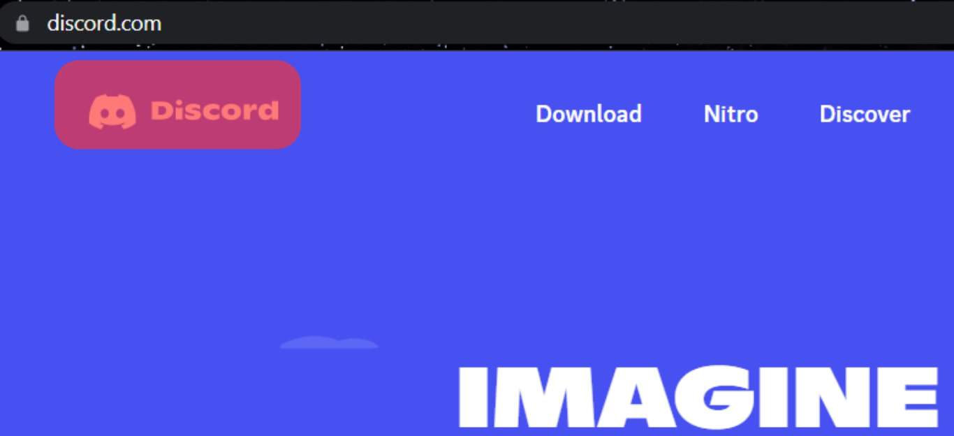 Visit The Discord Website.