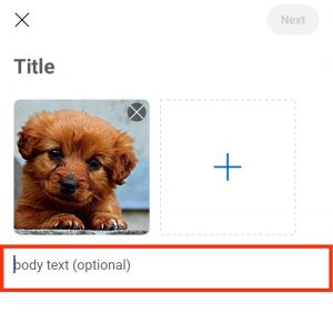 How To Embed Images on Reddit? | ITGeared