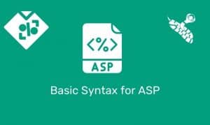 Basic Syntax For Asp