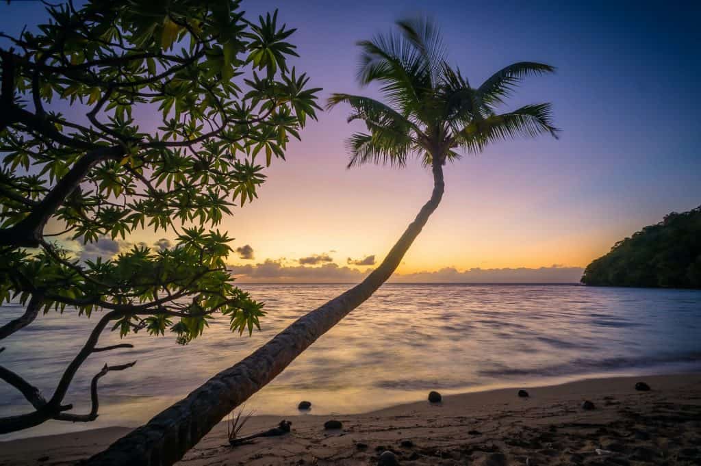 Beach In The Evening