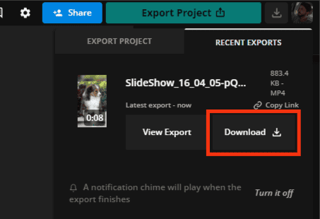 Click On The Download Option