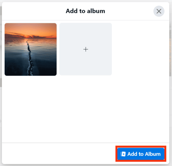 Click The Add To Album Button