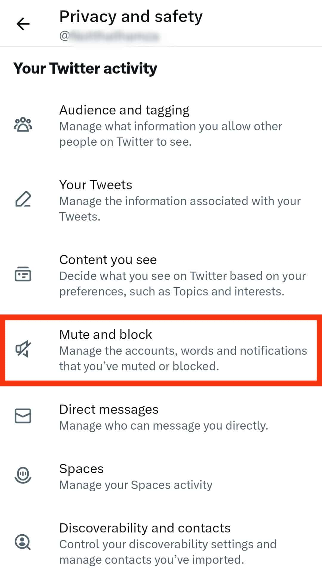 Click The Mute And Block Option