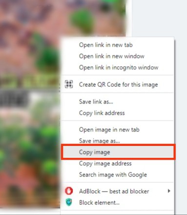 Click The Copy Image Option