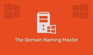 The Domain Naming Master