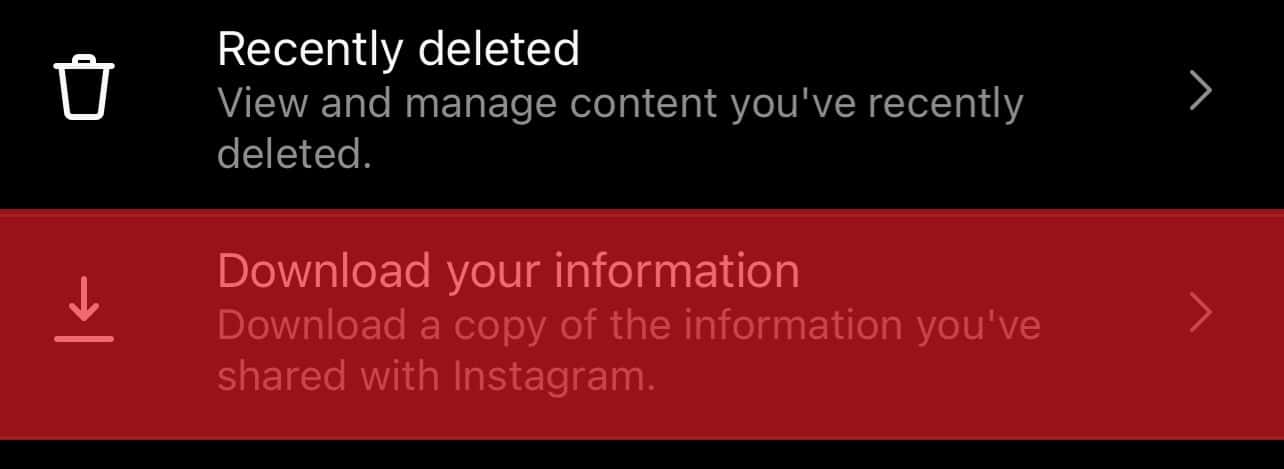 Download Your Information Option On Instagram