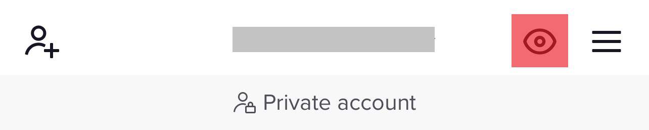 Does TikTok Notify When You View Someone s Profile - 15