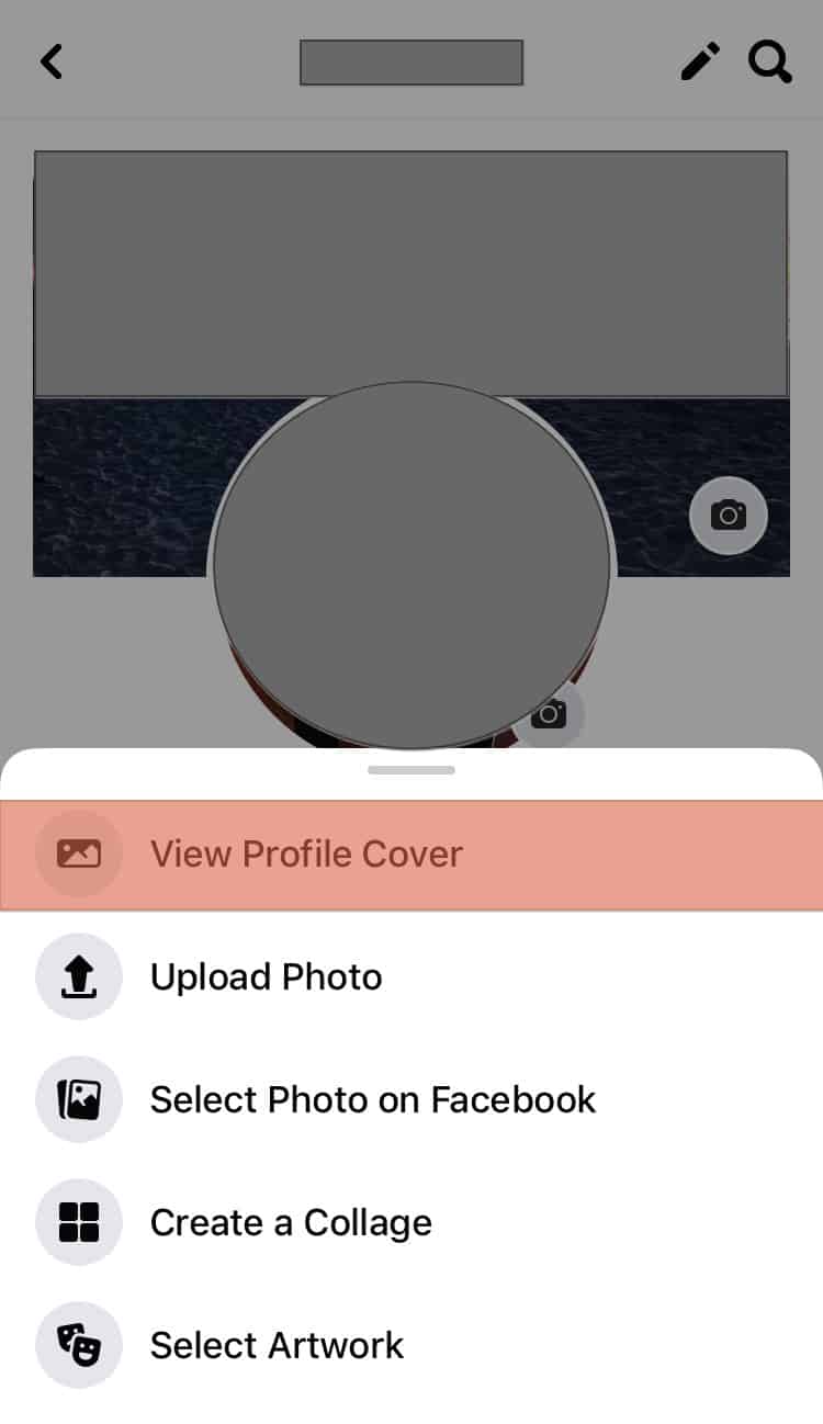 Facebook View Profile Cover