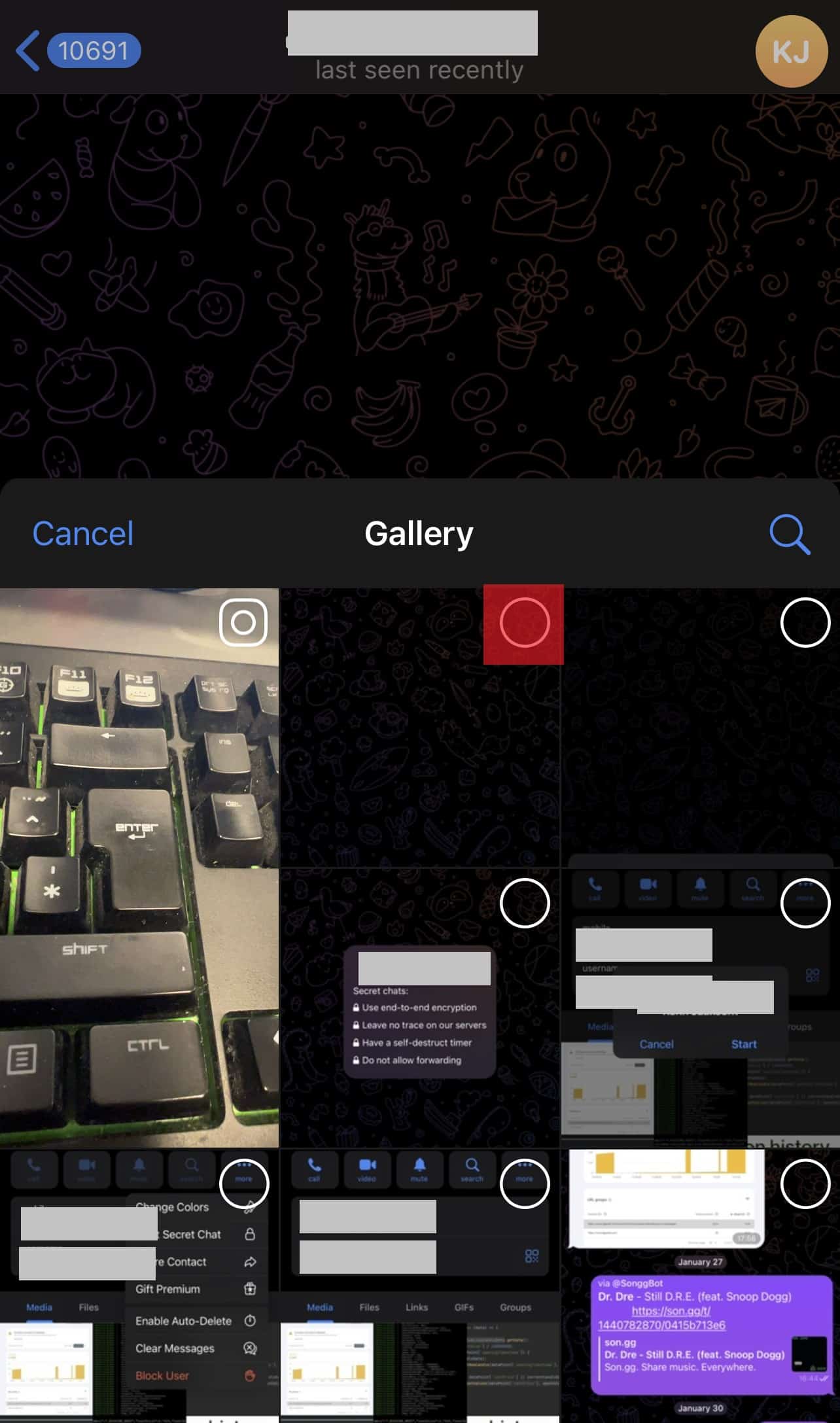 Gallery On The Telegram Mobile App