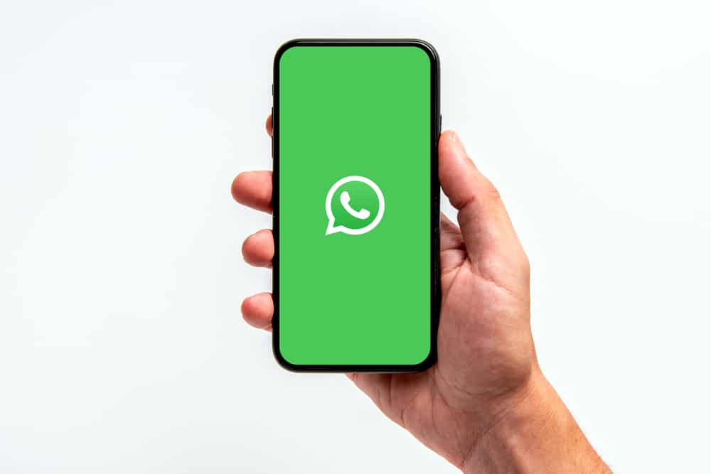 How Much Data Does A Whatsapp Call Use