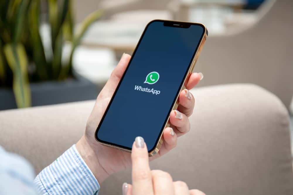 How To Cast Whatsapp Video On Tv