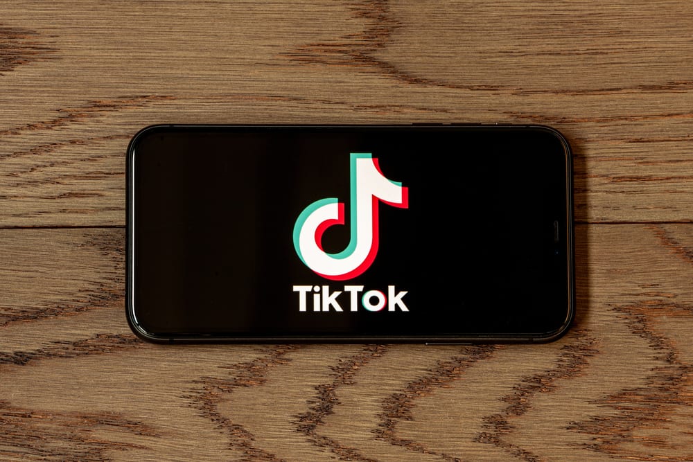 How To Find Your Most Famous Follower On Tiktok