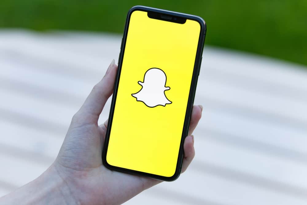 What Is The Meaning of Snapchat's WTM?