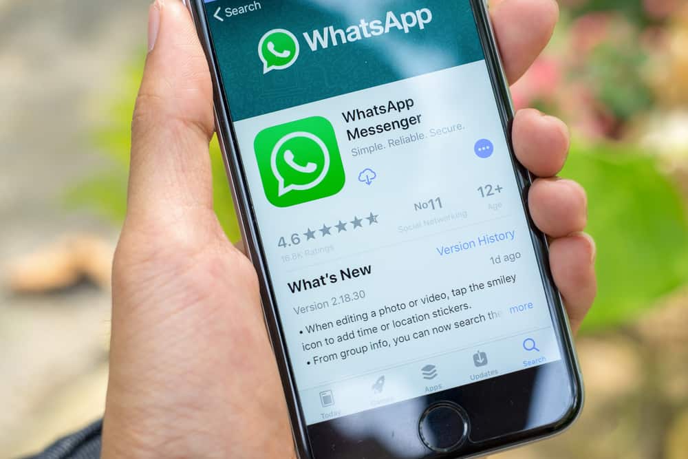 How To Get Verified On Whatsapp