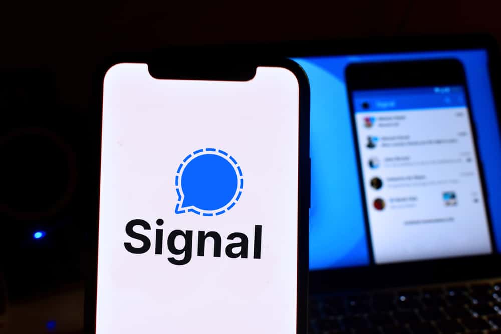 How To Know If Someone Is Online On Signal
