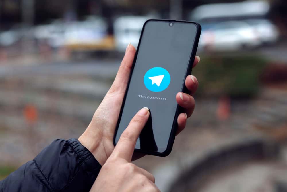 How To Know If Someone Read Your Message On Telegram