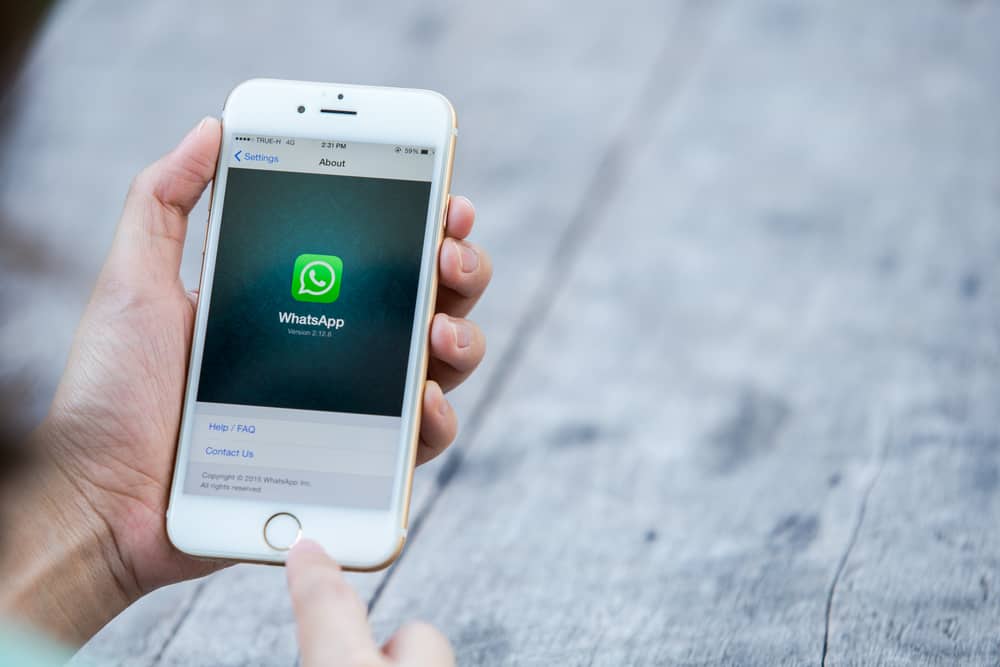 How To Make Friends In Whatsapp