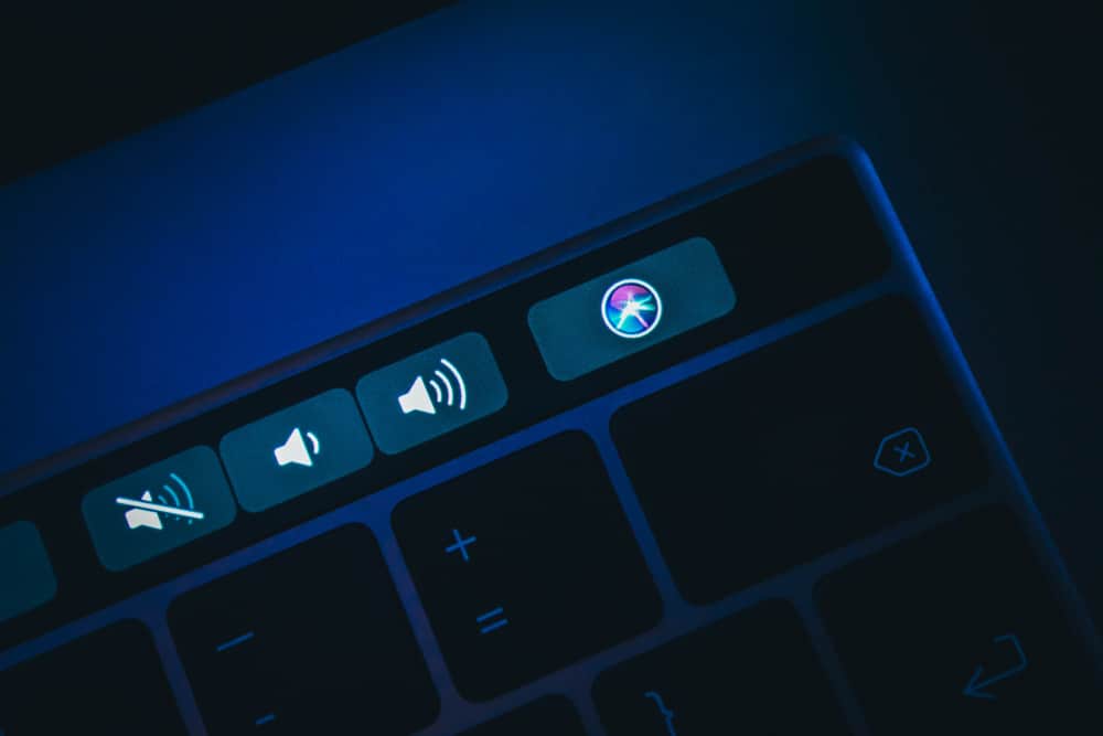 How To Mute Zoom On Mac
