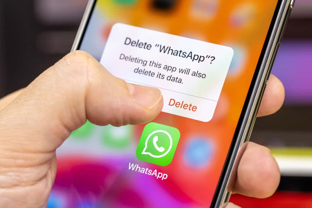 How To Remove Bio From Whatsapp