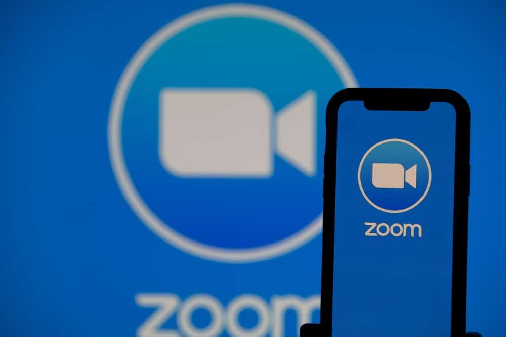 How To Share Exhibits On Zoom
