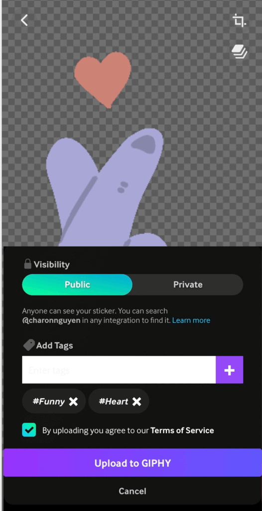 Set The Visibility And Add Tags To Your Sticker