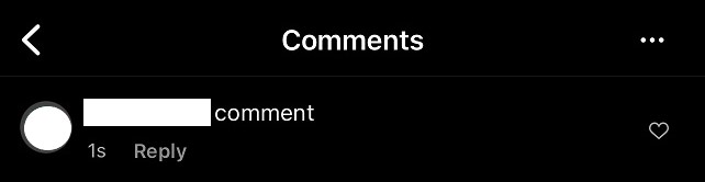 Instagram Comments Under A Post