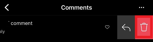 Instagram Deleting A Comment