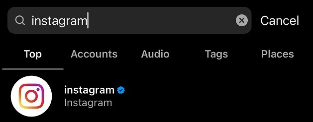 Instagram Search