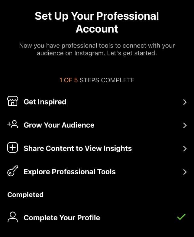 Instagram Setting Up Professional Account