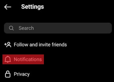 Instagram Profile Settings