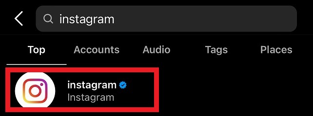 Instagram Search Account