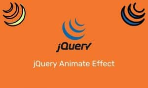 Jquery Animate Effect