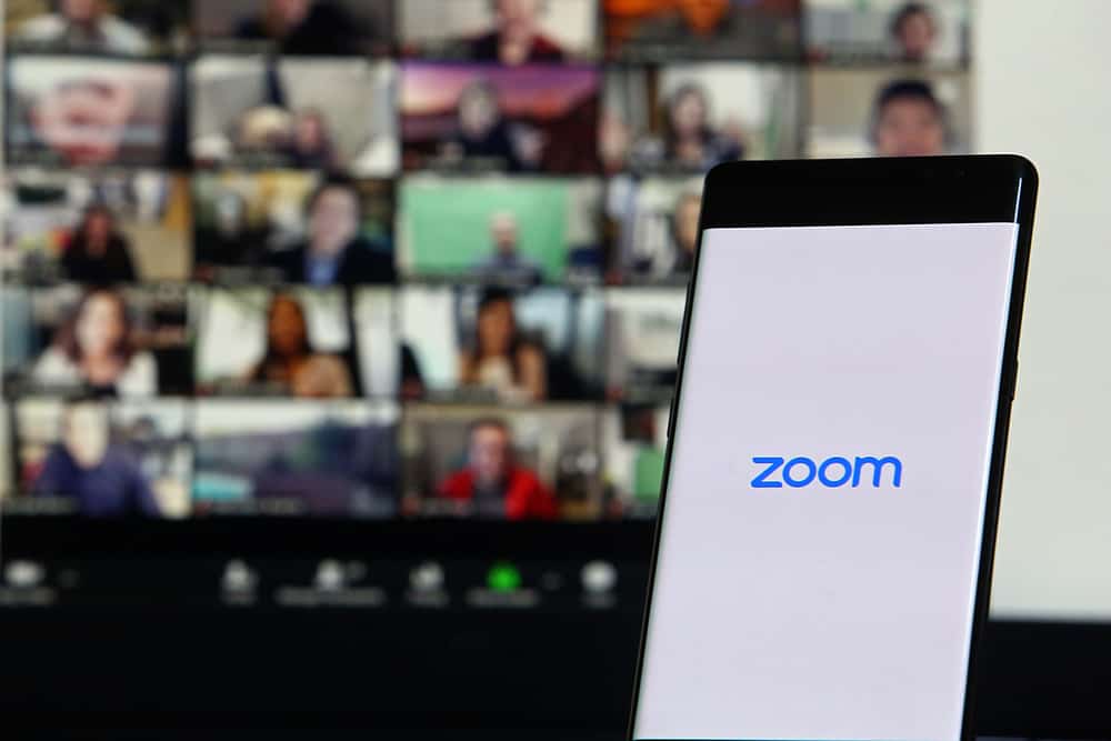 Minimized Zoom Window