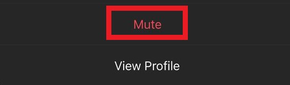 How To Know if Someone Muted You on Instagram - 41