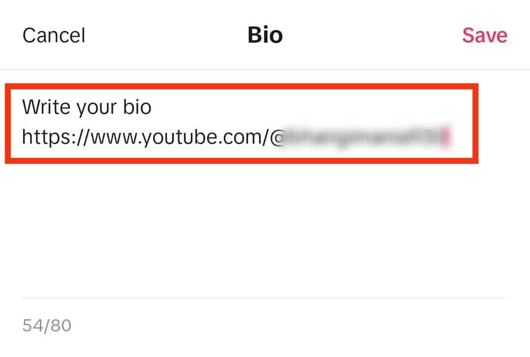 Paste The Link To Your Youtube Account