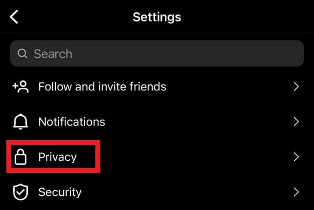 Privacy Option On Instagram