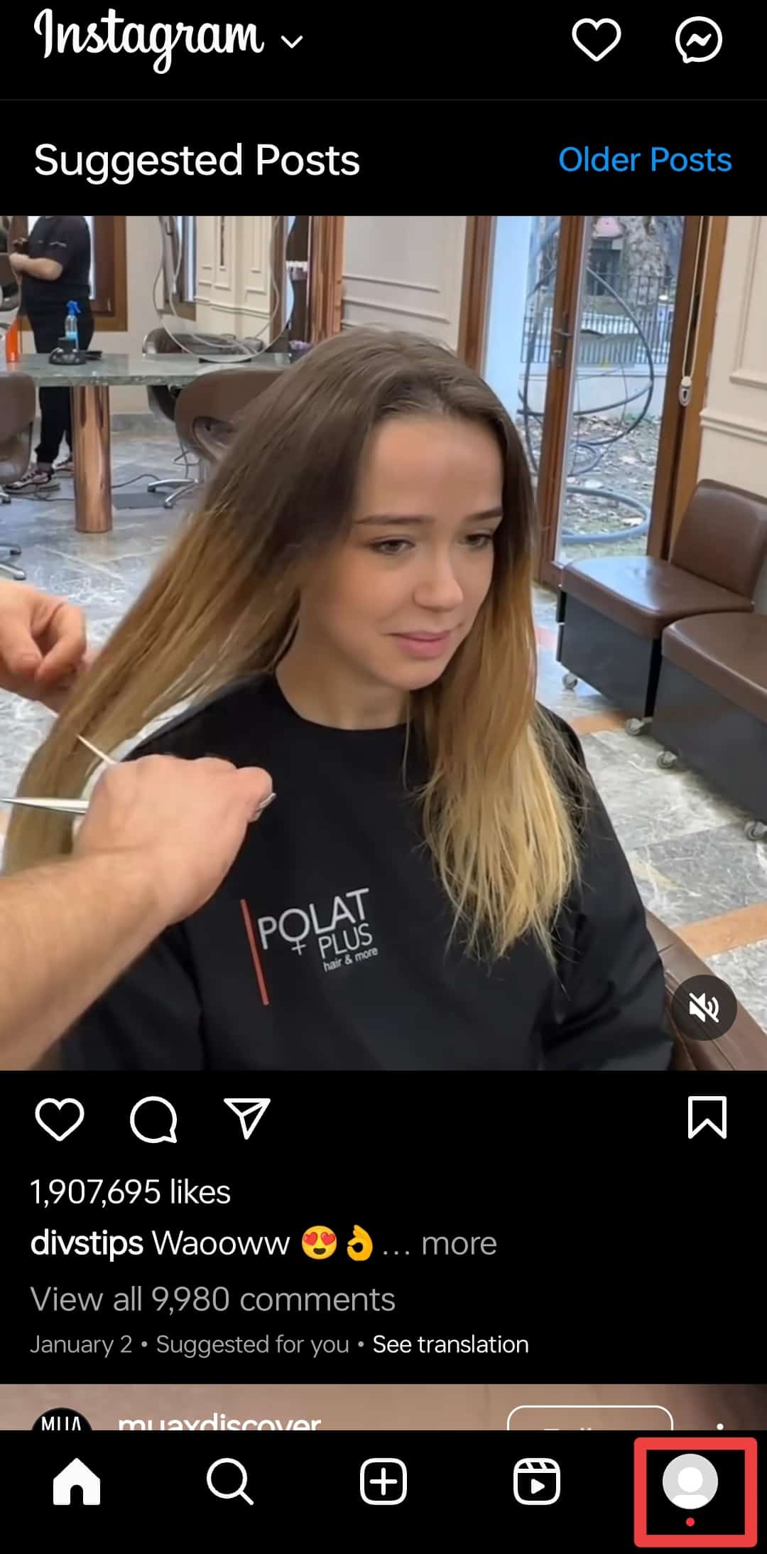 Does Instagram Show Who Viewed Your Video? ITGeared