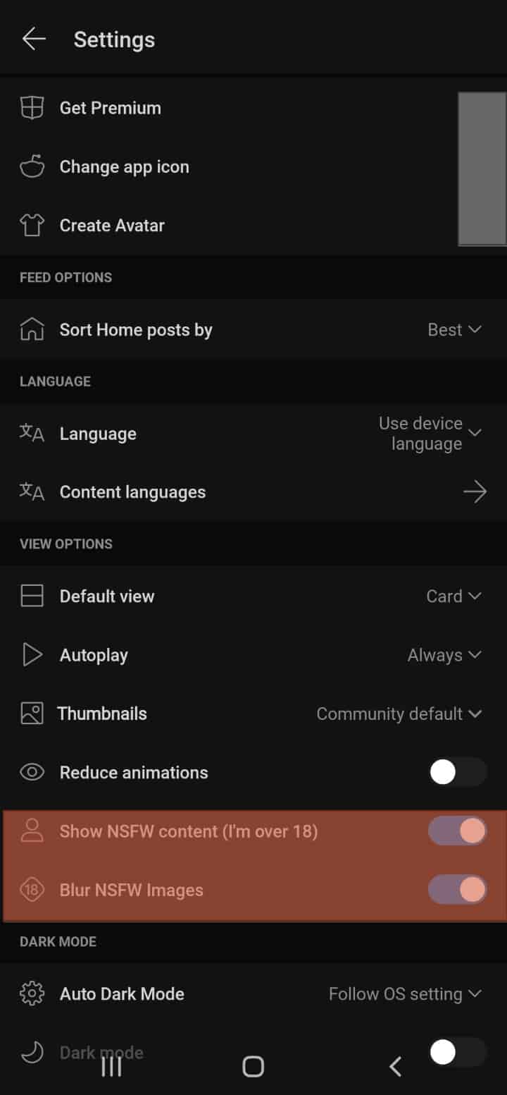Reddit Nsfw Option