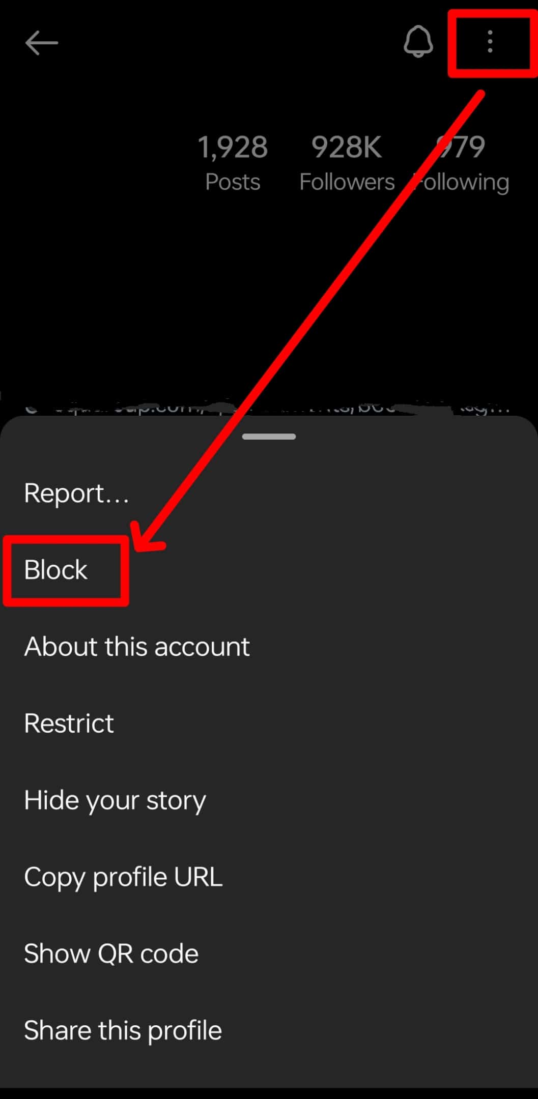 Right Corner User Profile Option Block Instagram