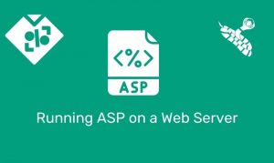 Running Asp On A Web Server