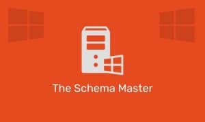 The Schema Master