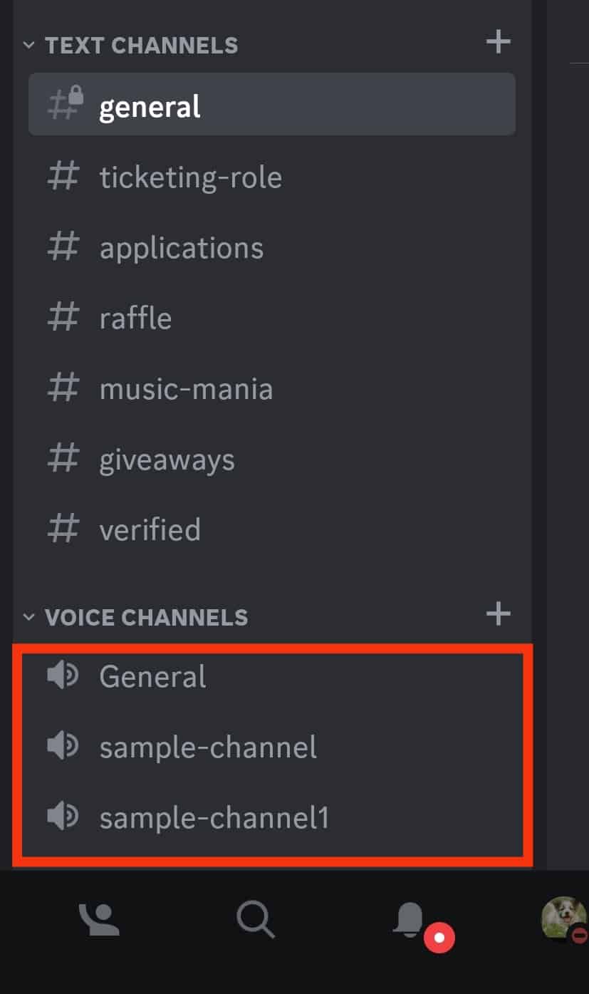 Scroll Down The List To Find The Voice Channel