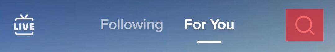 Search Icon