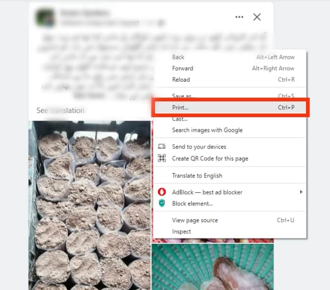 Select Print