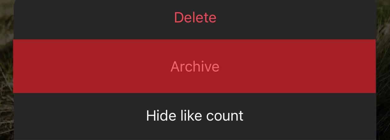 Archive Option On Instagram