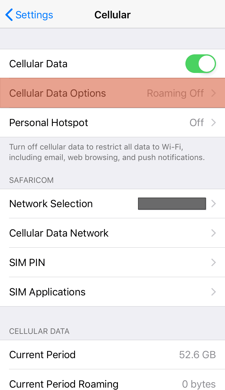 Settings Cellular Data Options