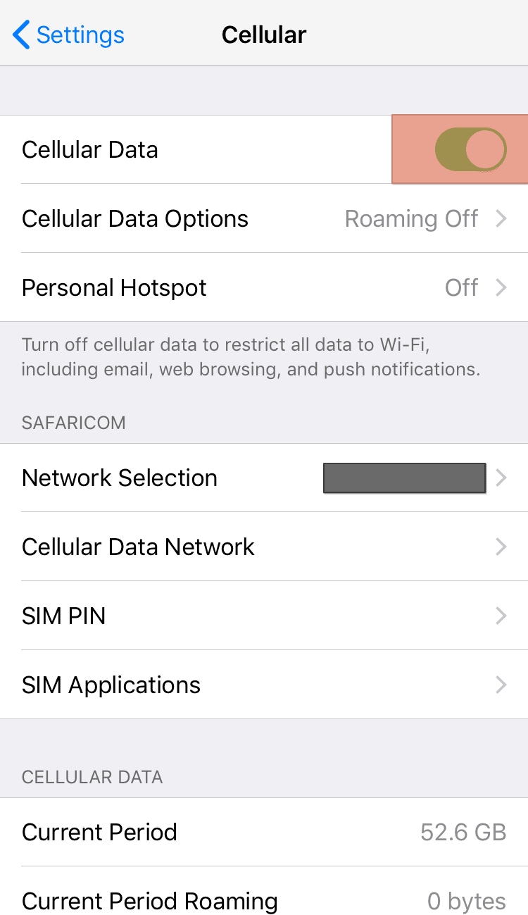 Settings Cellular Data Toggle