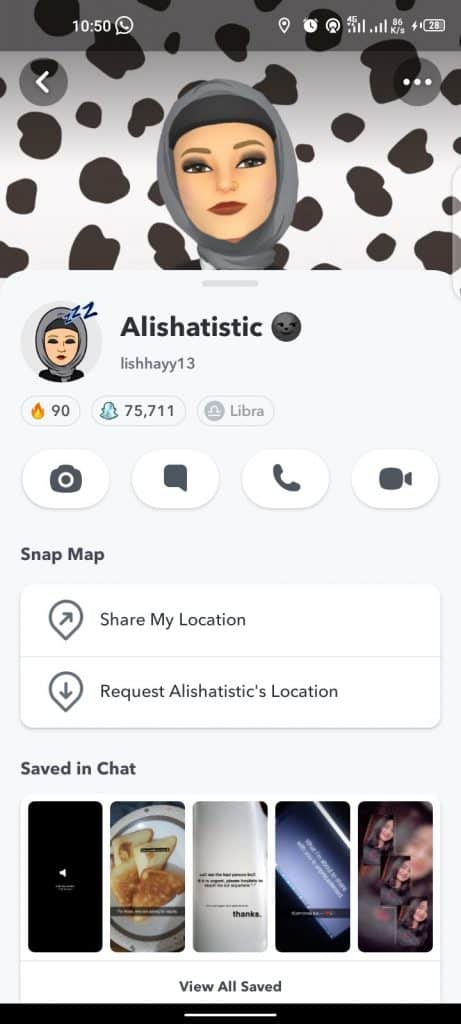 Example Snapchat Profile