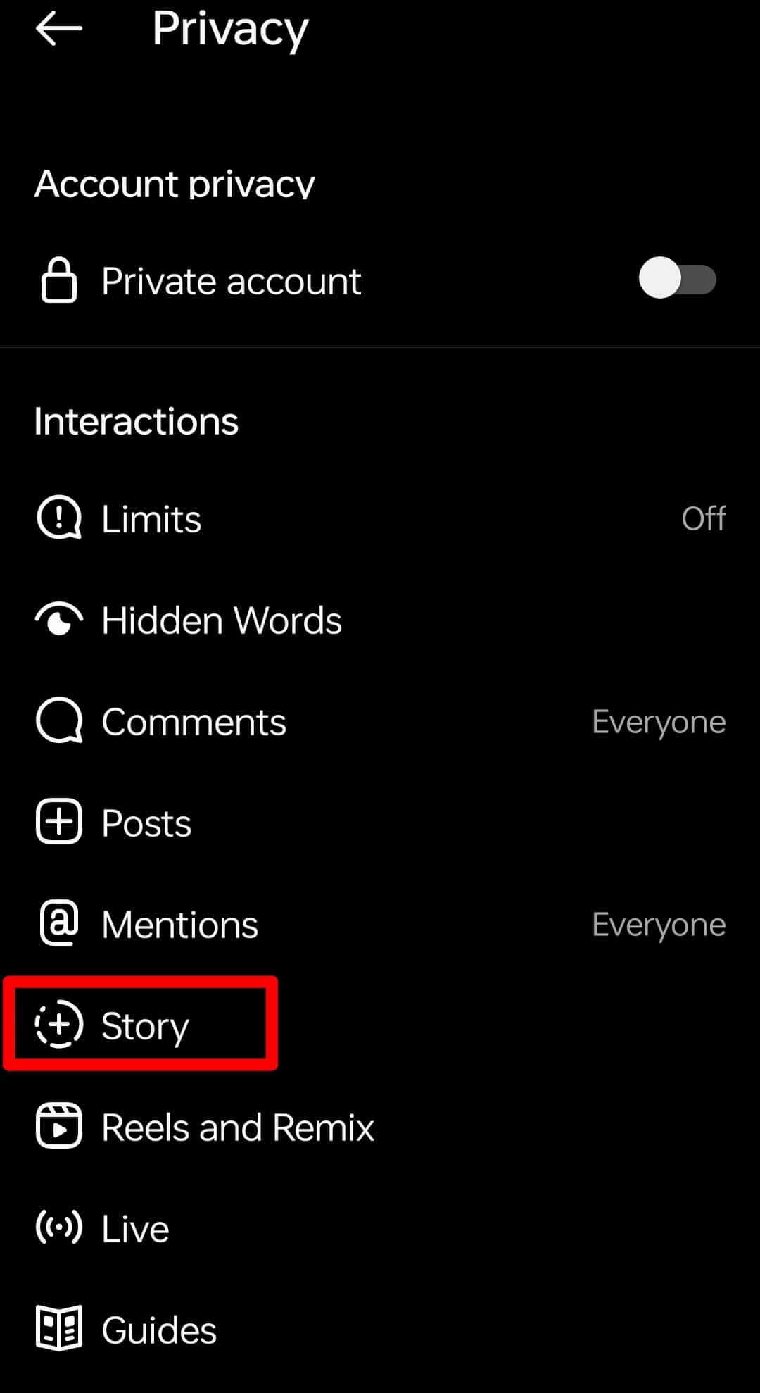 Story Option In The Privacy Instagram